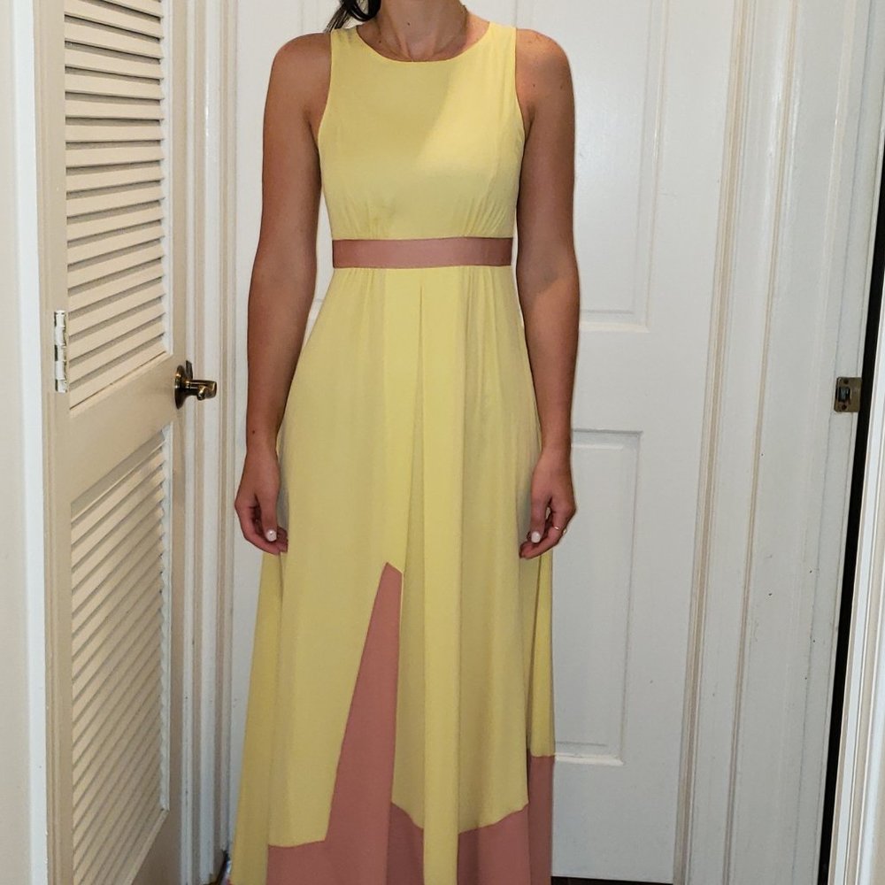 Badgley Mischka  - Yellow and Pink, Size 4 -  Maxi Gown